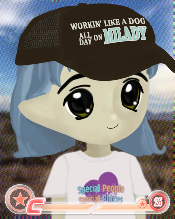 Milady 2012