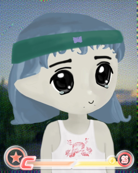 Milady 2411