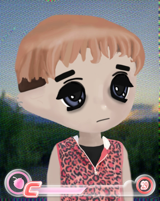 Milady 2734