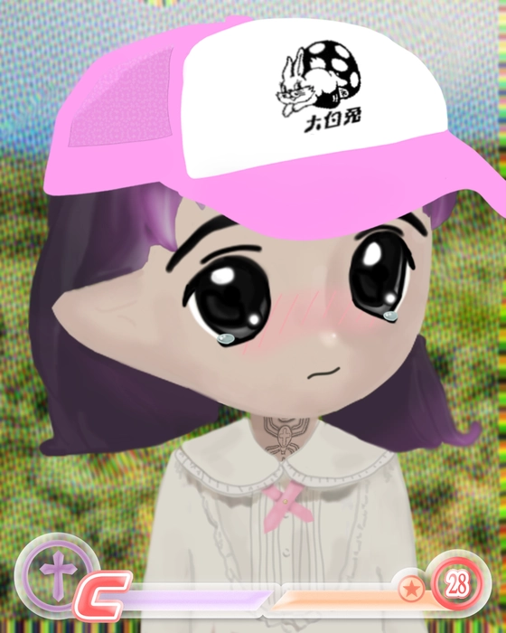 Milady 2896