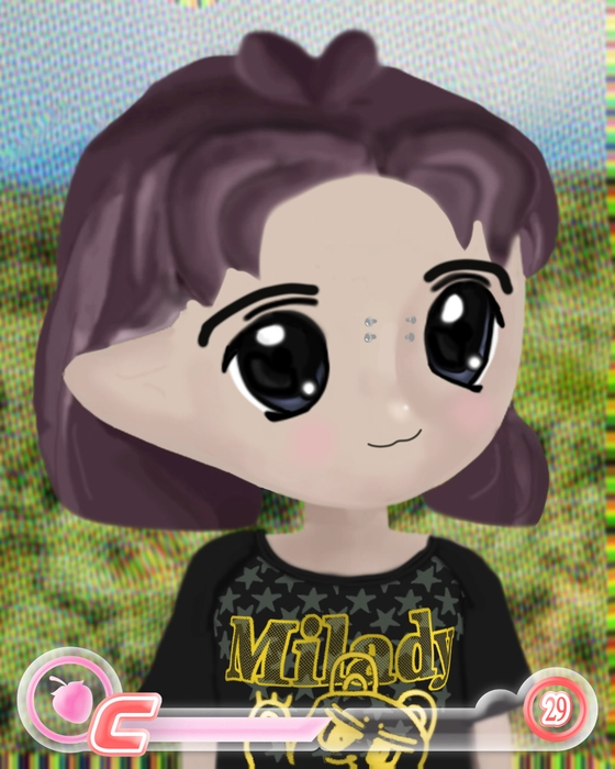 Milady 3316