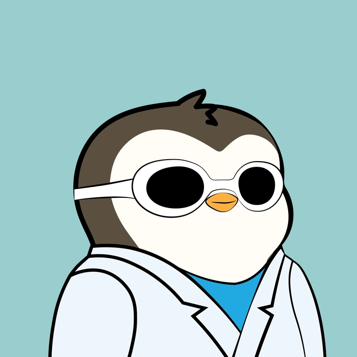 Pudgy Penguin #1262