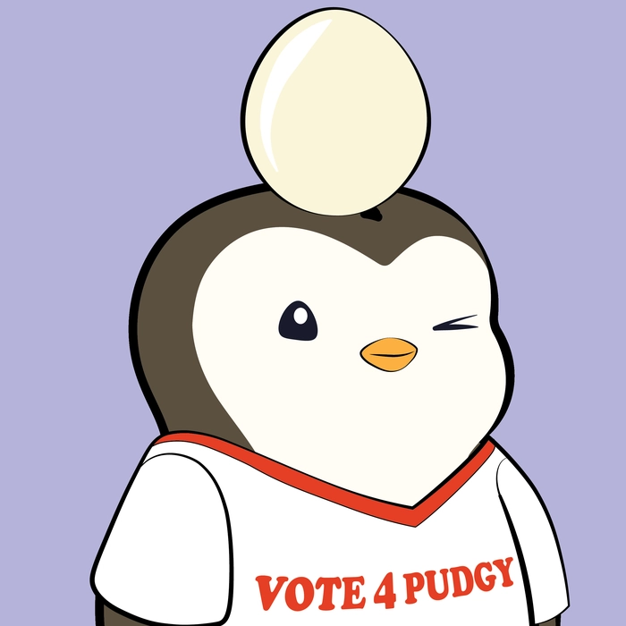 Pudgy Penguin #376