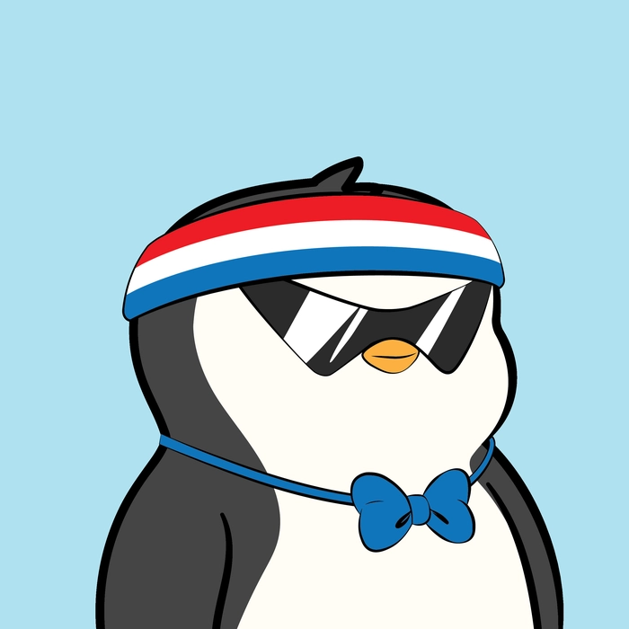 Pudgy Penguin #405