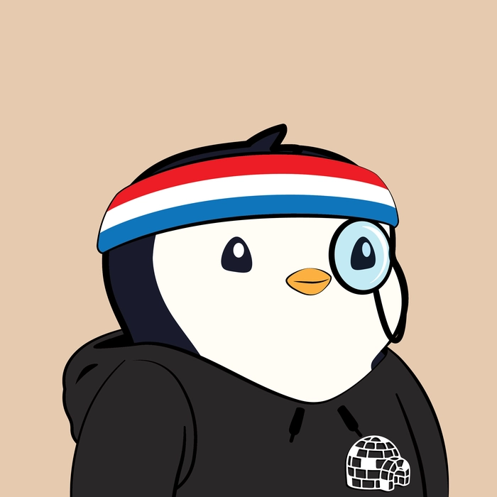 Pudgy Penguin #481