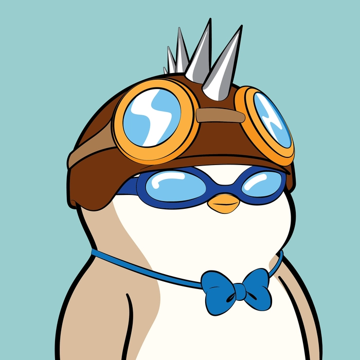 Pudgy Penguin #507