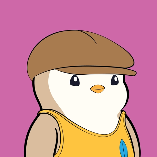 Pudgy Penguin #6207