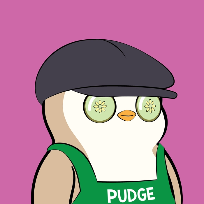 Pudgy Penguin #714