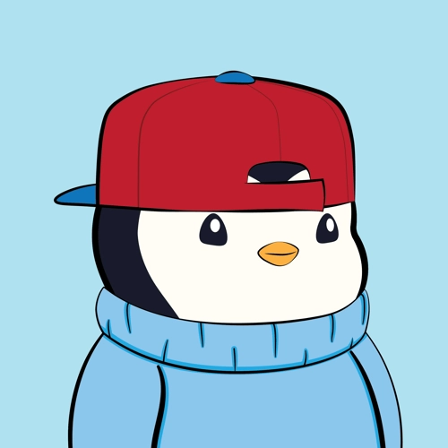 Pudgy Penguin #895