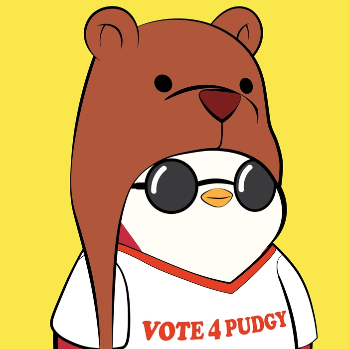 Pudgy Penguin #900