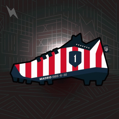 Sneaker #16098