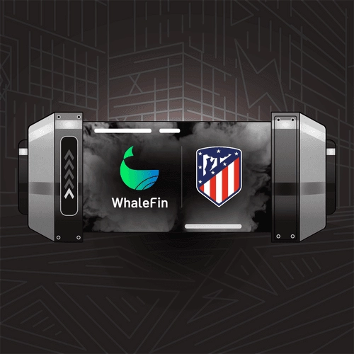 STEPN Shoebox #16114