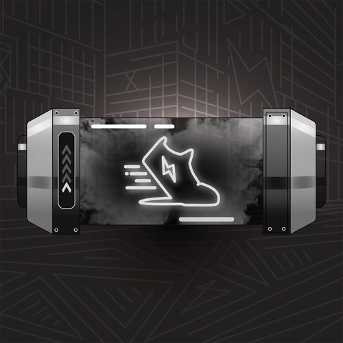 STEPN Shoebox #42405